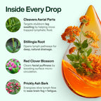 FreshBalance Wellness Drops